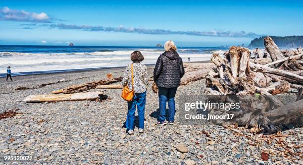 watching rialto beach olympic national park washington state - rialto beach stock pictures, royalty-free photos & images