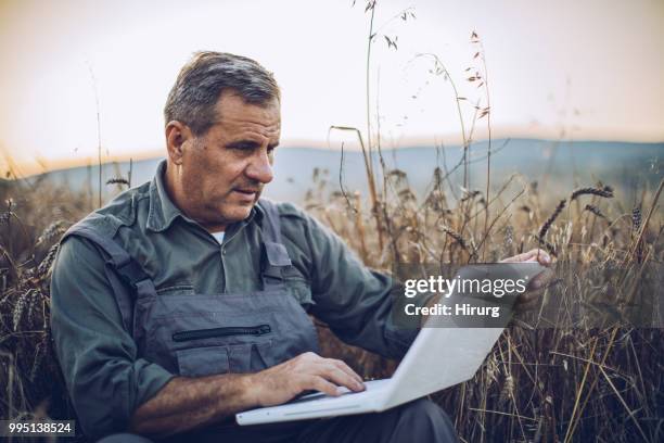 empresario agricultor es en un campo de trigo maduro y tiene una laptop en sus manos. - ear golden fotografías e imágenes de stock