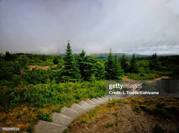 acadia national park in maine - insel mount desert island stock-fotos und bilder