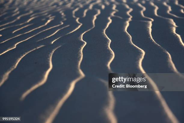 Sunlight illuminates grains of sand at Monahans Sandhills State Park in Monahans, Texas, U.S., on Tuesday, June 19, 2018. In the West Texas plains,...