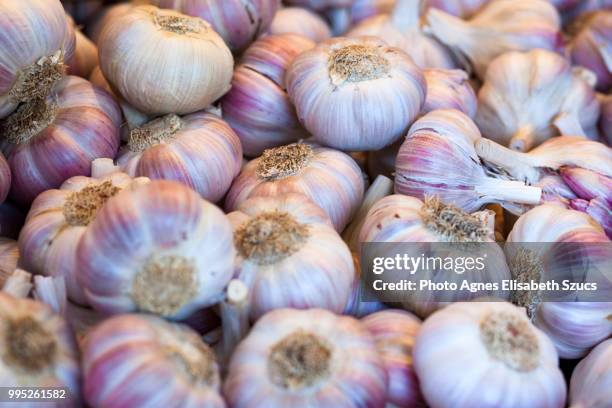 full frame shot of garlic bulbs (allium sativum) - agnes stock pictures, royalty-free photos & images