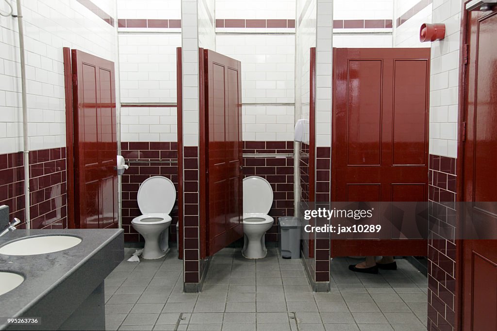 Ladies Public Bathroom - Victorian Style