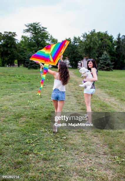 lets go fly a kite, girls flying their kite. - mitrovic stock pictures, royalty-free photos & images