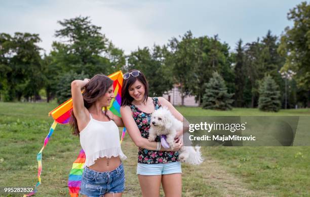 lets go fly a kite, girls flying their kite. - mitrovic stock pictures, royalty-free photos & images