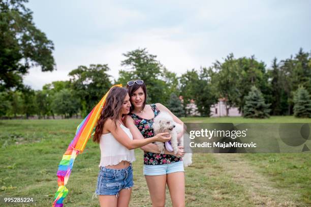 lets go fly a kite, girls flying their kite. - mitrovic stock pictures, royalty-free photos & images