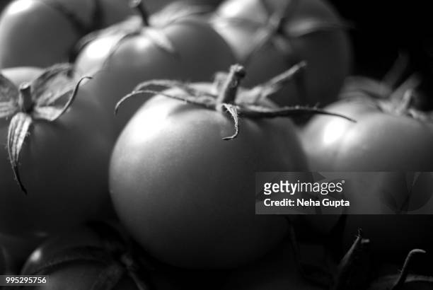 fresh tomatoes - monochrome - neha gupta stock pictures, royalty-free photos & images