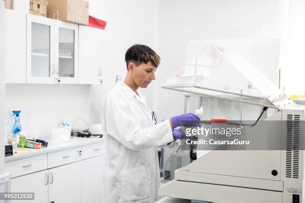 vrouwelijke wetenschapper werken in laboratorium - casarsa stockfoto's en -beelden