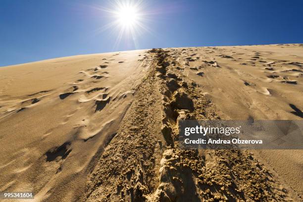 footprints in sand dunes, sahara, morroco - morroco stockfoto's en -beelden