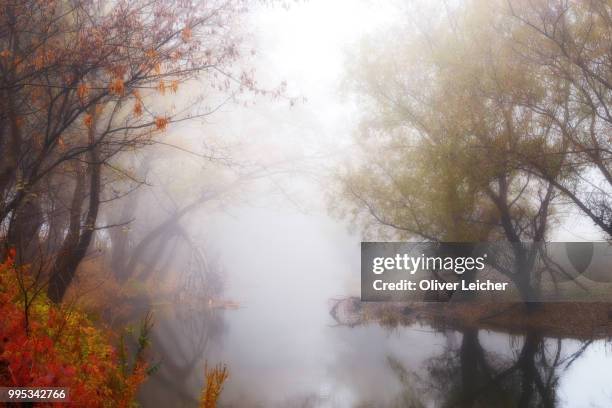 engulfed in fog - engulfed stock pictures, royalty-free photos & images