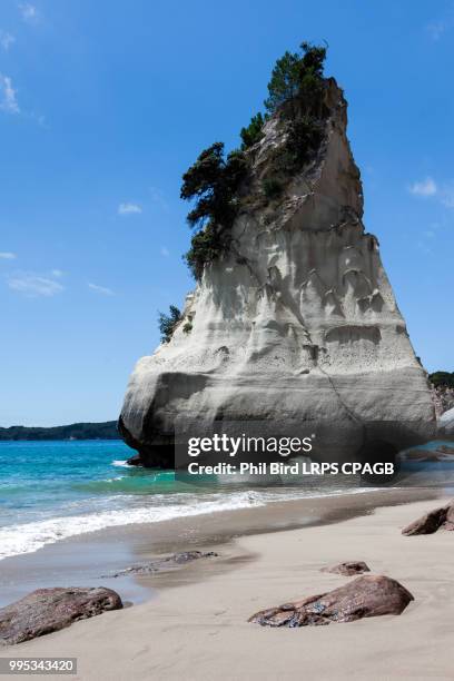 cathedral cove coromandel peninsula - cathedral cove stock pictures, royalty-free photos & images