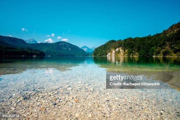alpsee lake at hohenschwangau near munich in bavaria, germany - lake alpsee stock pictures, royalty-free photos & images