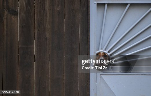 Dog Looking Through Hole