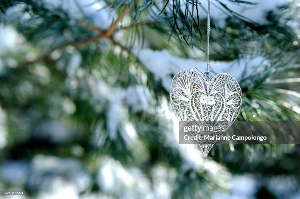 Heart ornament on snowy pine tree in winter