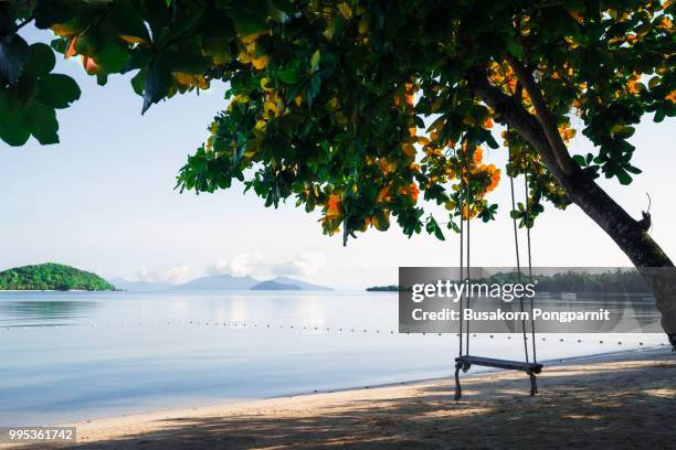 wooden swing under tree on the beach, scenery of beautiful destination island, koh mak thailand - bay tree photos et images de collection