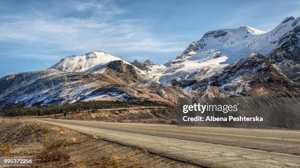 columbia icefield - albena stock-fotos und bilder