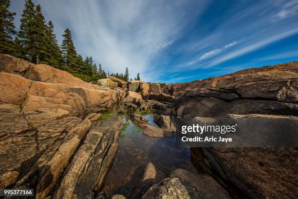 acadia coastal cove - jaye stock pictures, royalty-free photos & images