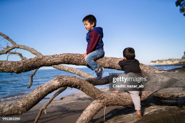 niños disfrutando al aire libre. - nazar fotografías e imágenes de stock