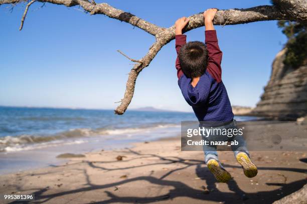 kid hanging on fallen tree branch. - hauraki gulf islands stock pictures, royalty-free photos & images