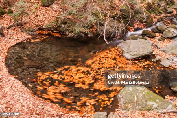 Stream Vortex Photos and Premium High Res Pictures - Getty Images
