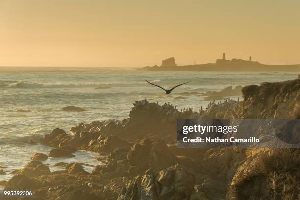 Soaring High-Res Stock Photo