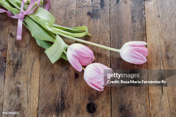directly above of bouquet of three tulips flowers on wooden background. copy space - rz fotografías e imágenes de stock