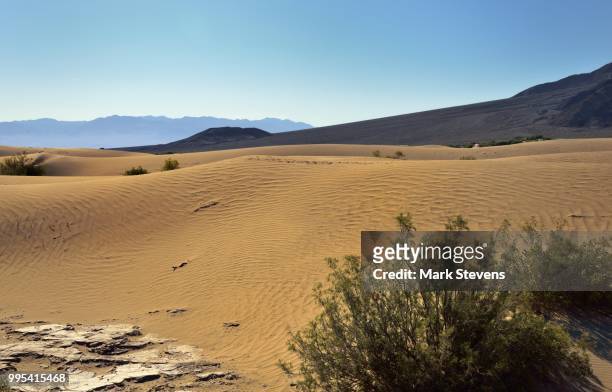a wondrous view looking across mesquite flat sand dunes - mesquite flat dunes stock pictures, royalty-free photos & images