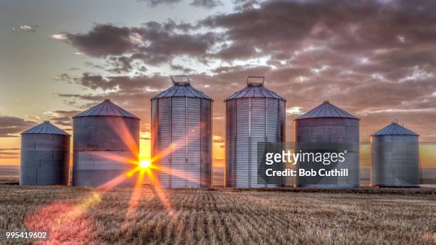 goodnight once again - silos stock pictures, royalty-free photos & images