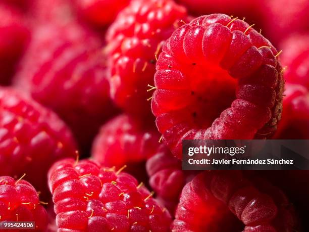 Sparkling Raspberry Close Up Raspberry Close Up Photos and Premium High Res Pictures - Getty Images