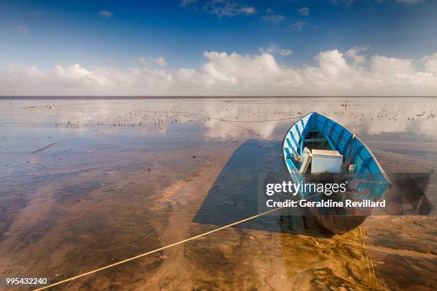 pirogue en guyane - rayon stock pictures, royalty-free photos & images