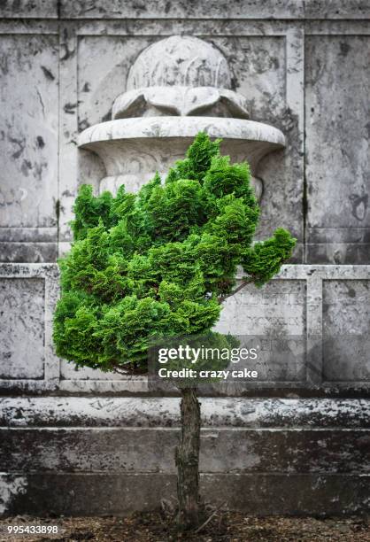 cimitero monumentale, milan - cimitero stock pictures, royalty-free photos & images