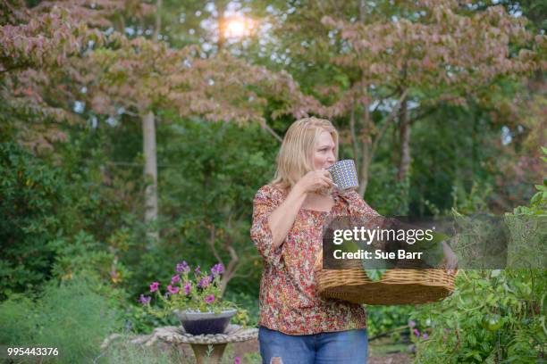 woman in garden drinking from cup - green fingers - fotografias e filmes do acervo