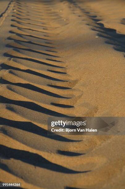 small dunes - halten stock pictures, royalty-free photos & images