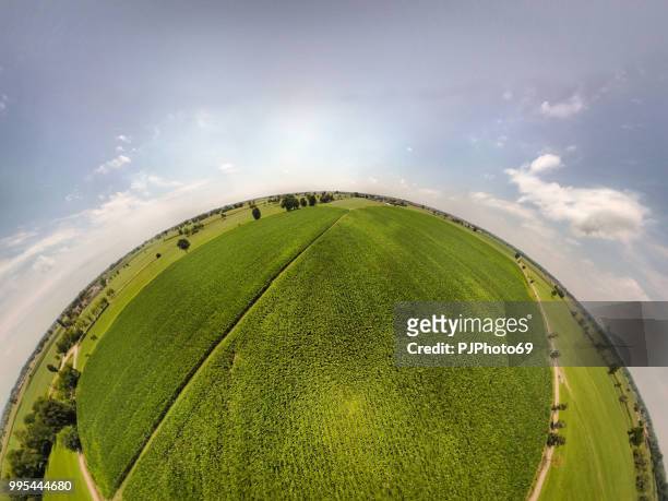 360° panoramic view of corn fields - pjphoto69 stock pictures, royalty-free photos & images