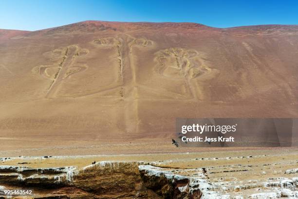 candelabra of paracas, peru - paracas stock pictures, royalty-free photos & images