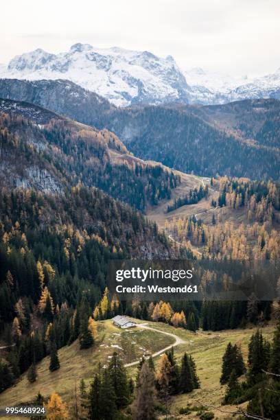 germany, bavaria, berchtesgaden alps, schneibstein in autumn - berchtesgaden alps stock pictures, royalty-free photos & images