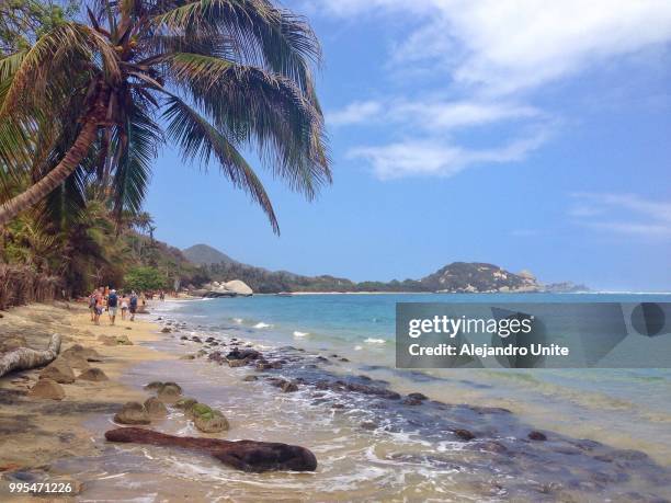 la piscina parque tayrona - piscina stock pictures, royalty-free photos & images