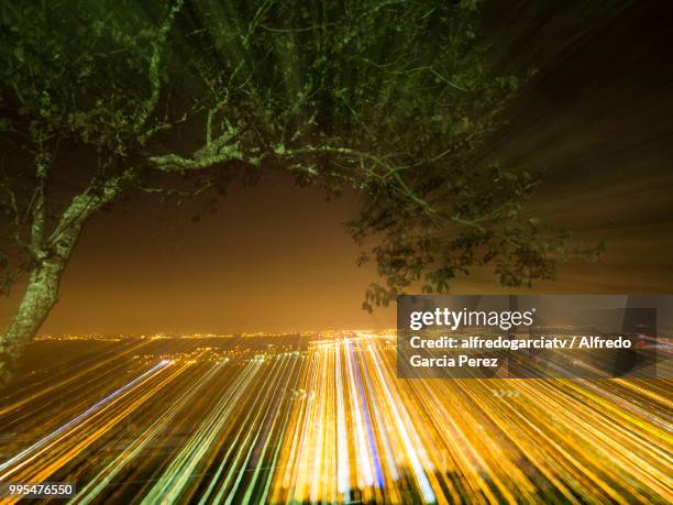 paisaje nocturno ciudad arbol velocidad - paisaje stockfoto's en -beelden