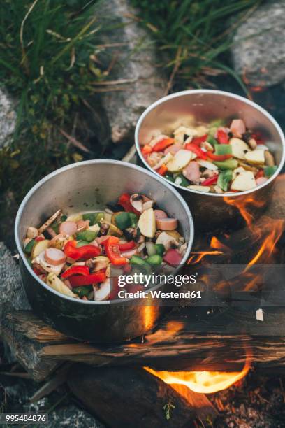 norway, lofoten, moskenesoy, food cooking on camp fire - campfire no people stock-fotos und bilder