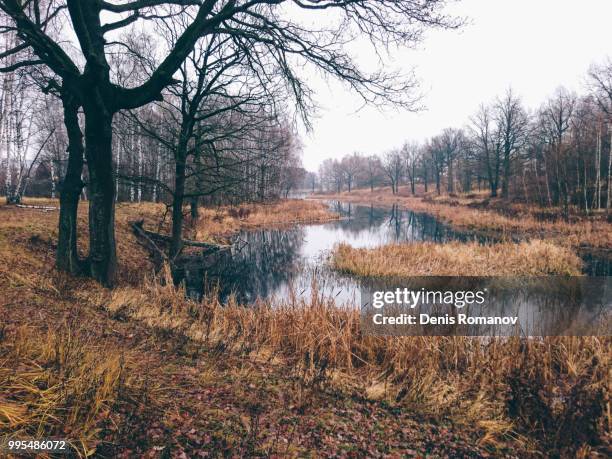 black river - romanov stock pictures, royalty-free photos & images
