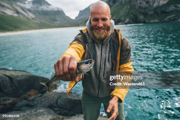 norway, lofoten, moskenesoy, young man holding freshly caught fish - moskenesoya stock pictures, royalty-free photos & images