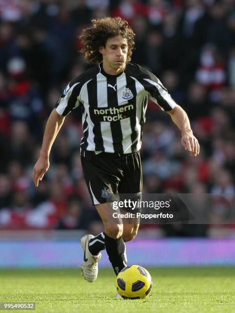 Fabricio Coloccini of Newcastle United in action during the Barclays Premier League match between Arsenal and Newcastle United at the Emirates...