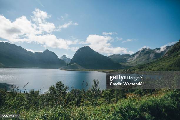 norway, lofoten, moskenesoy, selfjord - moskenesoya stock pictures, royalty-free photos & images