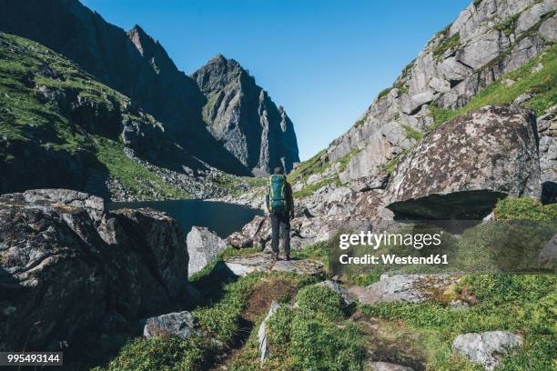norway, lofoten, moskenesoy, young man standing in front of litljordtinden - moskenesoya stock pictures, royalty-free photos & images