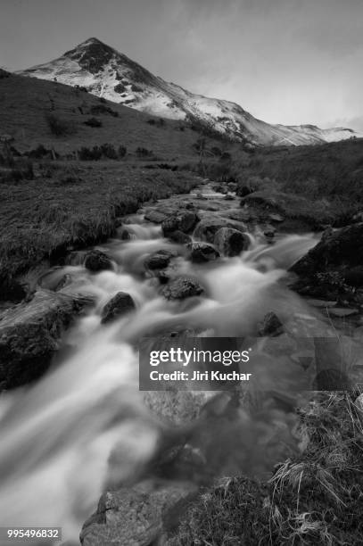 rannerdale - kuchar stock pictures, royalty-free photos & images