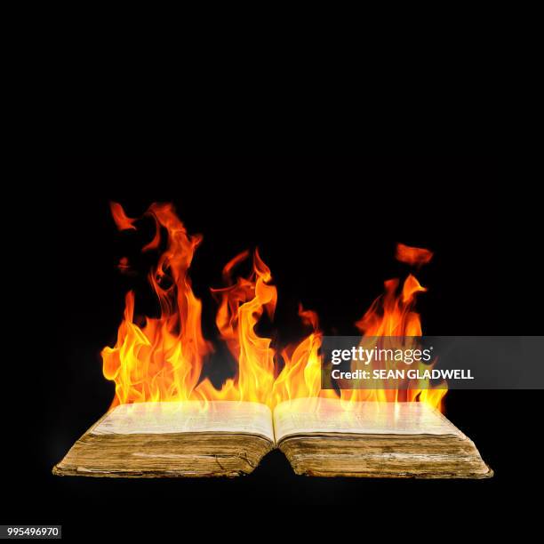 burning book - book burning stock pictures, royalty-free photos & images