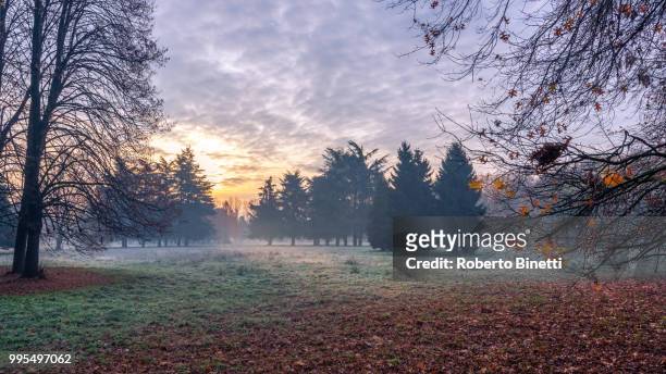 cold morning sunrise - binetti stock pictures, royalty-free photos & images
