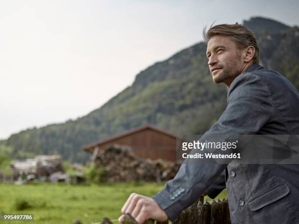 businessman in rural landscape looking at view - rural scene stock-fotos und bilder