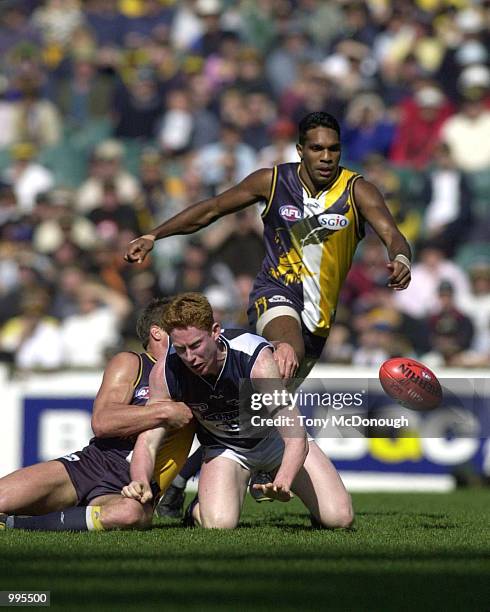 Tim Mgrath 840 Tim Mcgrath Stock Photos, High-Res Pictures, and Images - Getty Images