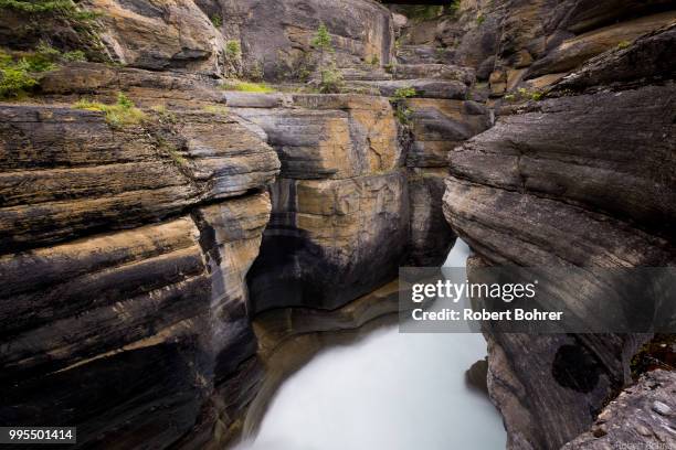 torrent in mistaya canyon at banff national park - bohrer stockfoto's en -beelden