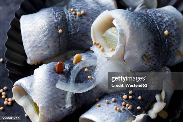 rollmop herrings, close-up - herring stock pictures, royalty-free photos & images
